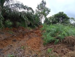 Diduga Salah Seorang Inisiator Perambah Hutan Kawasan Di Kabupaten Tebo Adalah Seorang ASN