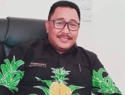 Pemda Bungo Sudah Salurkan Sebanyak 326 Ribu Bibit Sawit Subsidi untuk 2.174 Hektar Lahan