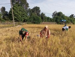 Kodim 0416/Bute berharap sinergi antara TNI dan masyarakat dapat semakin erat,