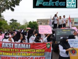 Ngadu Nasib Terkait PPPK, Honorer Kabupaten Bungo Geruduk Kantor Bupati