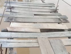 Jembatan Penghubung Desa teluk pandak dan Desa Embacang Gedang Bungo Di Anak Tiri Oleh Pemerintah”