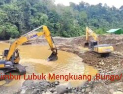 PETI  Mengunakan Alat Berat Jenis exsa,bebas Ber ofrasi Di Kecematan Limbur Lubuk Mengkuang-Diduga Kebal Hukum”