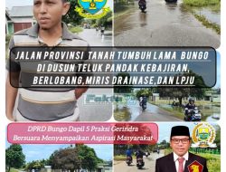 Jalan Provinsi Di Kabupaten Bungo’ Puluhan Tahun Tidak Perna Di Perhatikan Atau Di Sentuh  Sama Sekali  Terutama Jalan  Tanah Tumbuh,