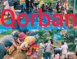 Qurban Sapi Jumbo, Naga Jaya Berbagi Berkah untuk Warga Sungai Buluh
