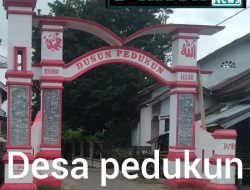 BARU 15 HARI DILANTIK, PJS RIO PEDUKUN PECAT PULUHAN PERANGKAT DESA