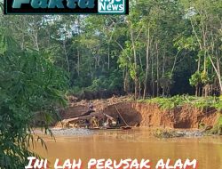 PETI Merajalela di Sepanjang  Sungai Batang Tebo, Warga Minta Kapolres Bungo Bertindak Tegas