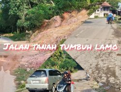 Jalan Provinsi ,di Kabupaten Bungo Rusak Parah,Terutama Jalan Tanah Tumbuh,Belum Perna Di sentuh Atau Di Perbaiki”