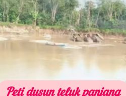 Diduga Oknum Perangkat Desa Ikut Andil dalam Aktivitas PETI di Dusun Teluk Panjang