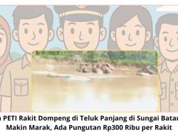 Diduga  Kasi ,Kepala Kampung Ketua RT Dusun Teluk panjang  Mempunyai Peti