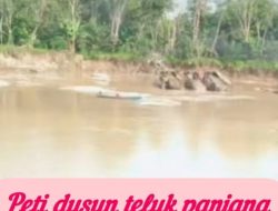 Diduga,Kepala Kampung Kasi Pembagunan Ketua RT Dusun Teluk Panjang Mempunyai Peti  Jenis Rakit