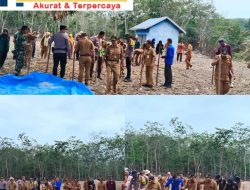 Giat Camat Dan Polsek Tanah Sepenggal Hari ini  Penanaman Jagung Nasional di Dua Dusun Teluk Pandak Dan Tanah Bekali Tahun 2025″