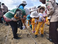 500 Paud Hadiri Edukasi Tanam Jagung Di Poktan Kasturi