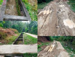 Proyek Irigasi Tanpa Papan Informasi di Teluk Pandak Dipertanyakan, Jalan Desa Hancur – Warga Minta Aparat Periksa