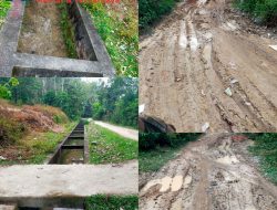 Masarakat Kecewa Dengan Kordinator Rehap irigasi Di Dusun Teluk Pandak Kec,Tanah Sepenggal ,Kab,Bungo/Jambi,