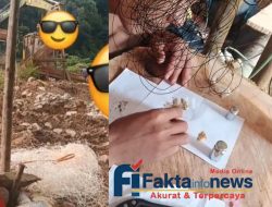 *PETI Menggila di Sungai Batang Pelepat Bungo, Ekskavator Bekerja Sampai Subuh*