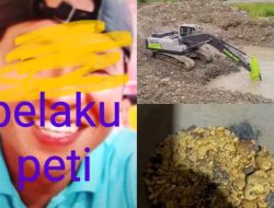 Aktivitas PETI Diduga Kembali Terjadi di Ngaol Ilir, Warga Minta Aparat Lakukan Penyelidikan Dan Tindakan,