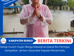 Setiap Musim Hujan Warga Kebanjiran, Datuk Rio Peninjau Sampaikan Jeritan Masyarakat kepada Pemerintah