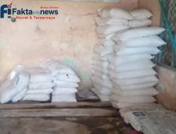 Di Tebo Harga Pupuk Subsidi Tercoreng: Dugaan Gara gara Ada Setoran ke Oknum Bikin Naik”