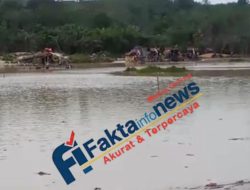 Irigasi Dirusak”PETI Dompeng Kuasai Bendungan di Sungai Mancur, APH Diduga Tutup Mata”