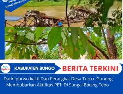 Datin Purwo Bakti Dan Perangkat desa Turun Gunung, Membubarkan Aktivitas PETI di Sungai Batang Tebo