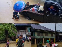 Babinsa Kodim 0416/Bute Sigap Bantu Evakuasi Warga Terdampak Banjir di Desa Bedaro
