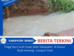 Tinggi Nya Curah Hujan , Jalan Kabupaten di Dusun Bukit Kemang Lumpuh Total 