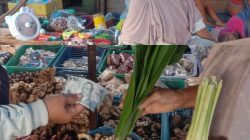 Harapan Nuraini Tinggal Belas Kasih Tuhan dan Pertimbangan Majelis Hakim
