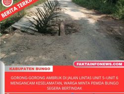 Gorong-gorong Ambruk di Jalan Lintas Unit 5–Unit 6 Mengancam Keselamatan, Warga Minta Pemda Bungo Segera Bertindak