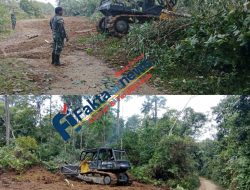 Satgas TMMD Ke 129 Kodim 0416/Bute Kerahkan Bulldozer Untuk Mempercepat pengerjaan Jalan Usaha Tani Di Desa Tanjung Agung,