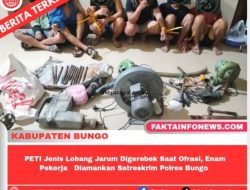 PETI Jenis Lobang Jarum Digerebek Saat Ofrasi, Enam Pekerja Diamankan Satreskrim Polres Bungo 