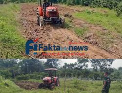 Dansatgas TMMD Ke-129 Kodim 0416/Bute,Pembukaan Lahan Seluas 1 Hektare Guna Untuk Mendukung Ketahanan Pangan